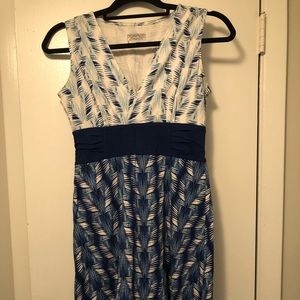 Patagonia Dress